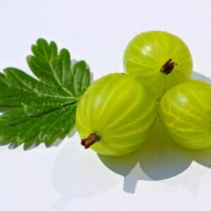 Indian Gooseberry