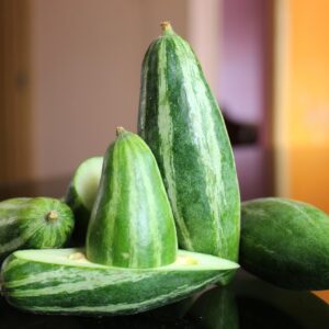 পটল(Pointed Gourd)