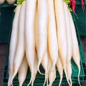 মুলা(Radish)-500gm