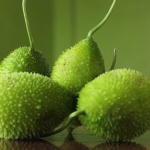 Spiny Gourd