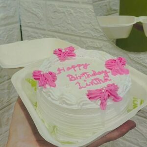 Bento cake 250-300 grm