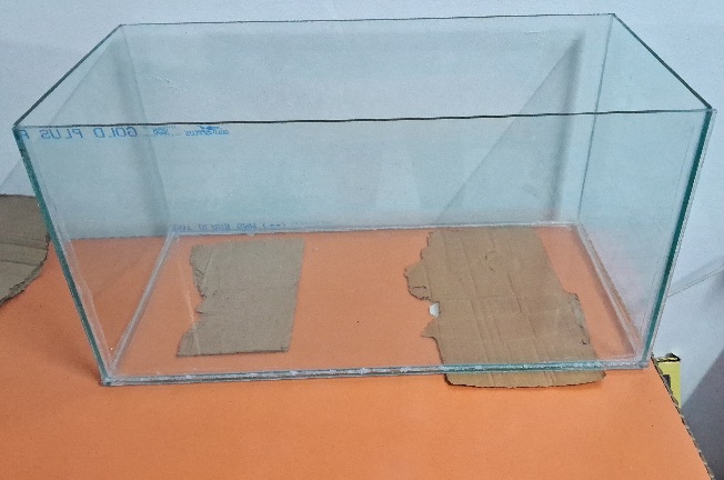 2 feet Fish tank ( use extra clear glass )